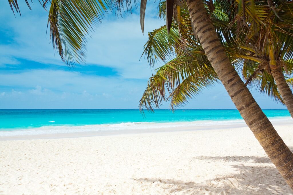 beach, beautiful, blue, coast, landscape, ocean, palm tree, paradise, relax, relaxation, caribbean, scenery, sea, blue sky, nature, sky, summer, travel, vacation, water, palm tree, palm tree, palm tree, paradise, caribbean, caribbean, caribbean, caribbean, caribbean